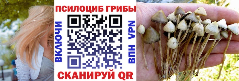 Галлюциногенные грибы мицелий Тотьма
